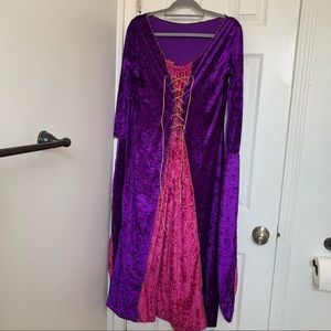 Medieval Princess Costume